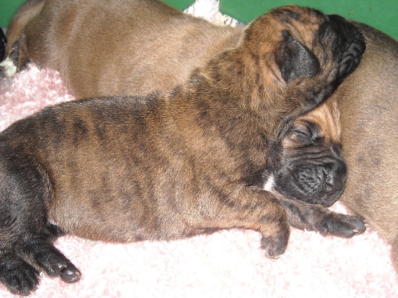 BB de Dune et Maverick
